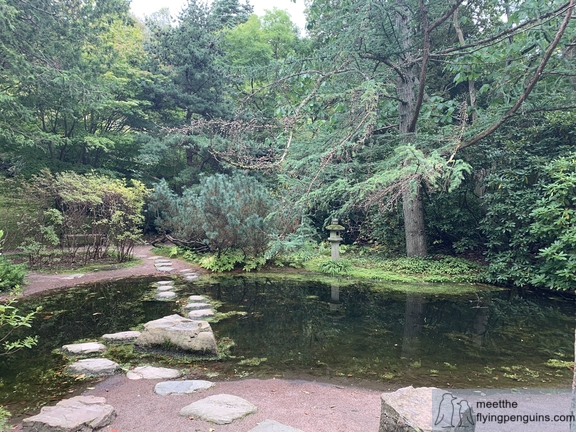The Japanese Glade at Gothenburg Botanical Garden